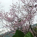P1150920_副本.jpg