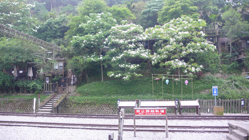 P1160718_副本.jpg P1160718_副本.jpg