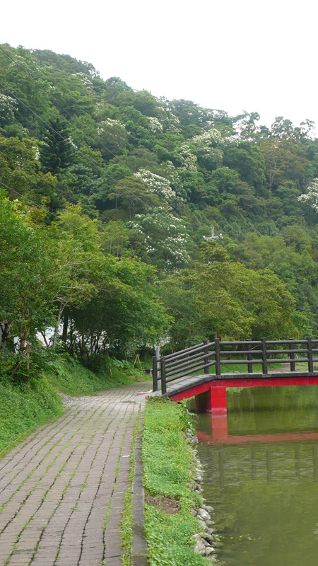 P1160791_副本.jpg P1160791_副本.jpg
