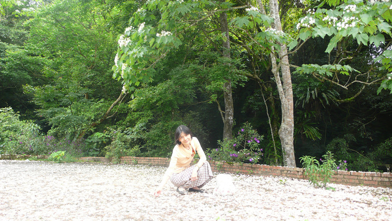 P1170124_副本.jpg P1170124_副本.jpg