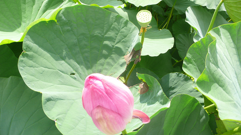 P1170288_副本.jpg P1170288_副本.jpg