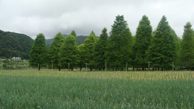 DSC05670_副本.jpg DSC05670_副本.jpg