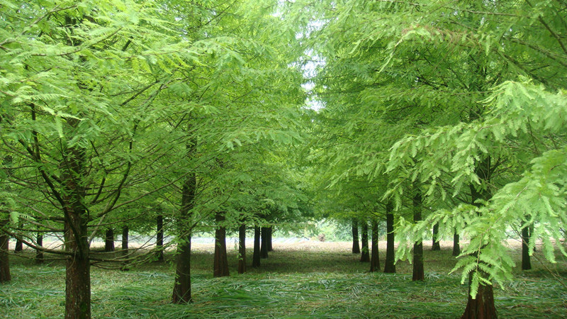DSC05671_副本.jpg DSC05671_副本.jpg