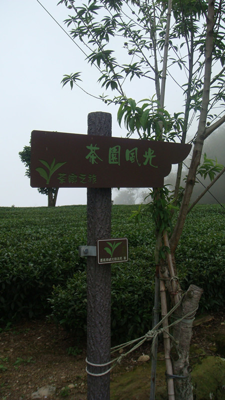 DSC04474_副本.jpg DSC04474_副本.jpg