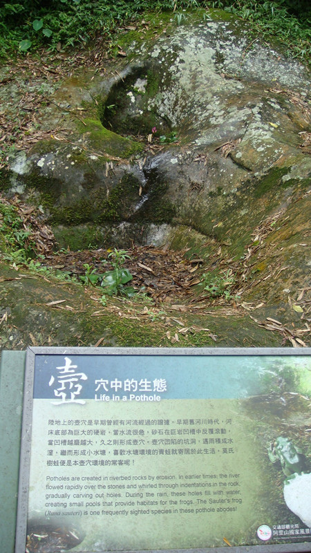 DSC04620_副本.jpg