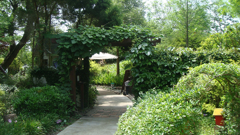 DSC04972_副本.jpg DSC04972_副本.jpg