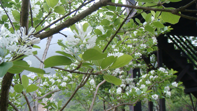 DSC04060_副本.jpg DSC04060_副本.jpg