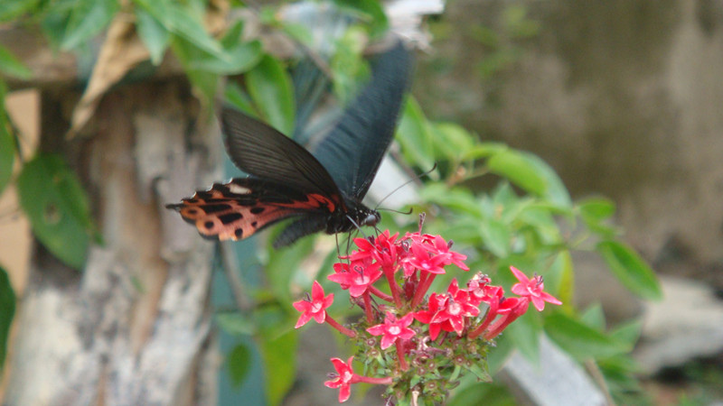 DSC04084_副本.jpg DSC04084_副本.jpg