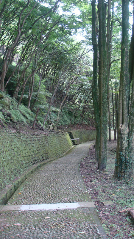 DSC05083_副本.jpg DSC05083_副本.jpg