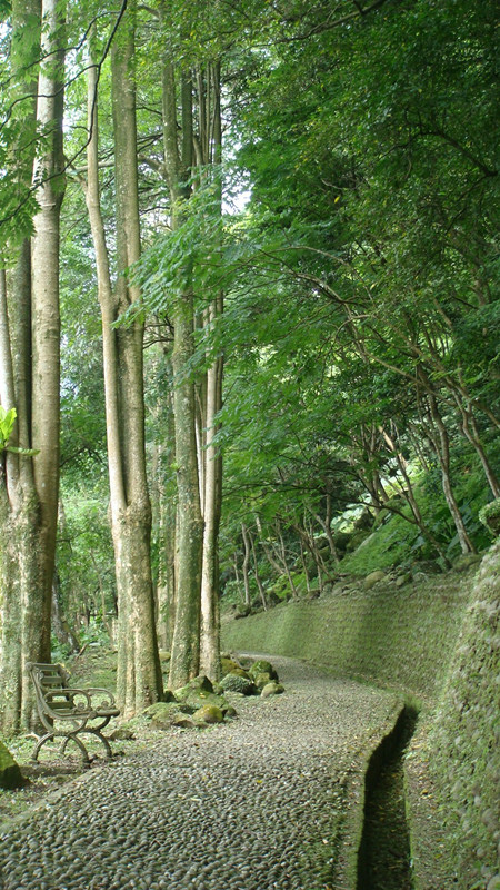 DSC05084_副本.jpg DSC05084_副本.jpg