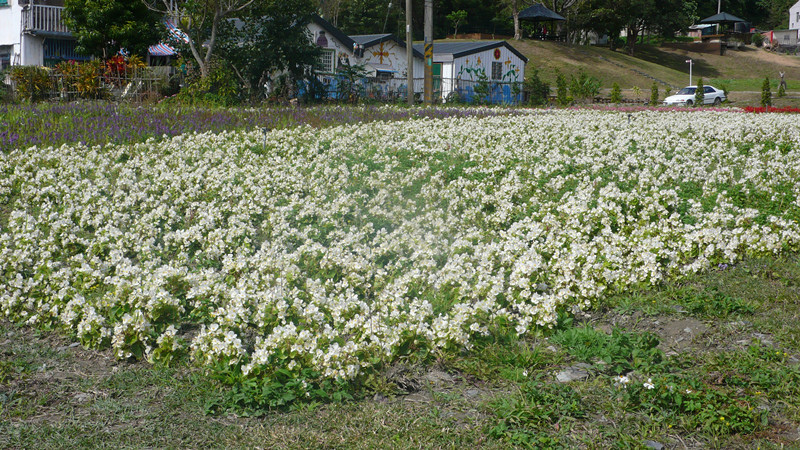 P1200654_副本.jpg P1200654_副本.jpg