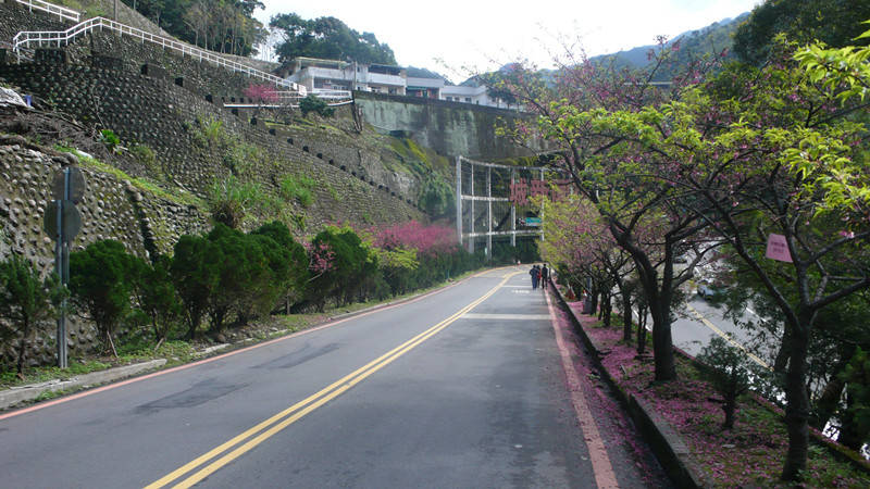 P1200841_副本.jpg P1200841_副本.jpg