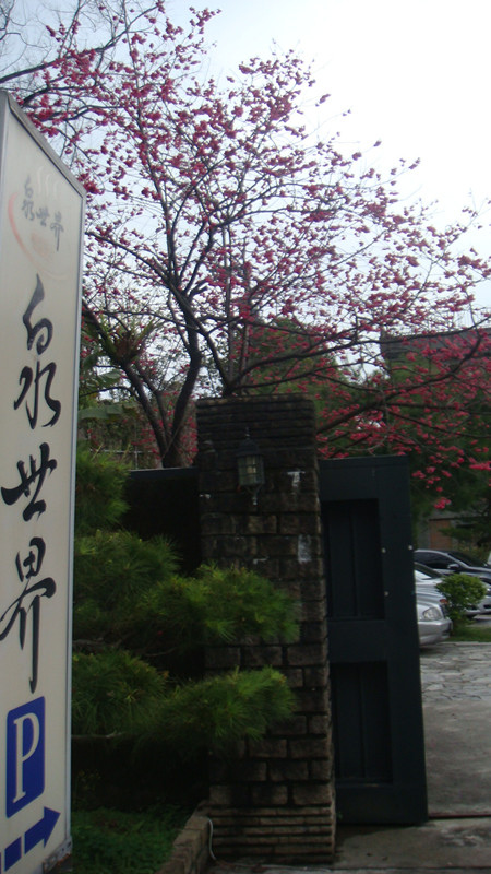 DSC09229_副本.jpg DSC09229_副本.jpg