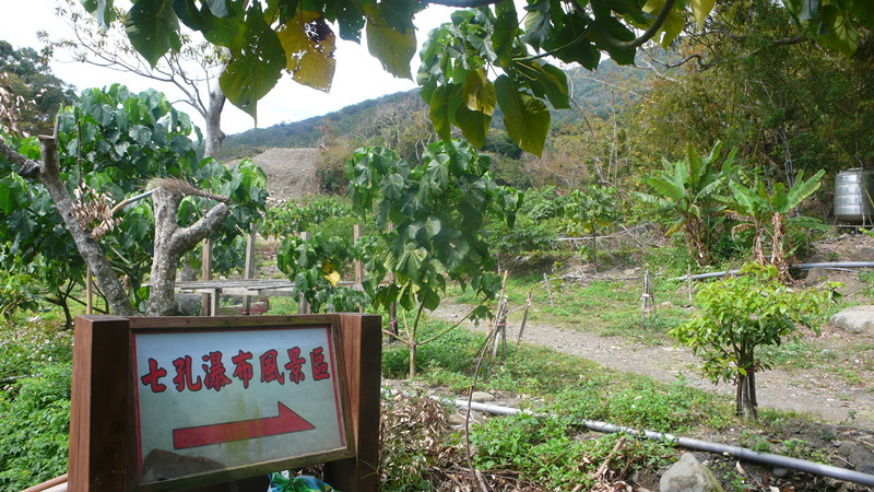 P1210447_副本.jpg P1210447_副本.jpg