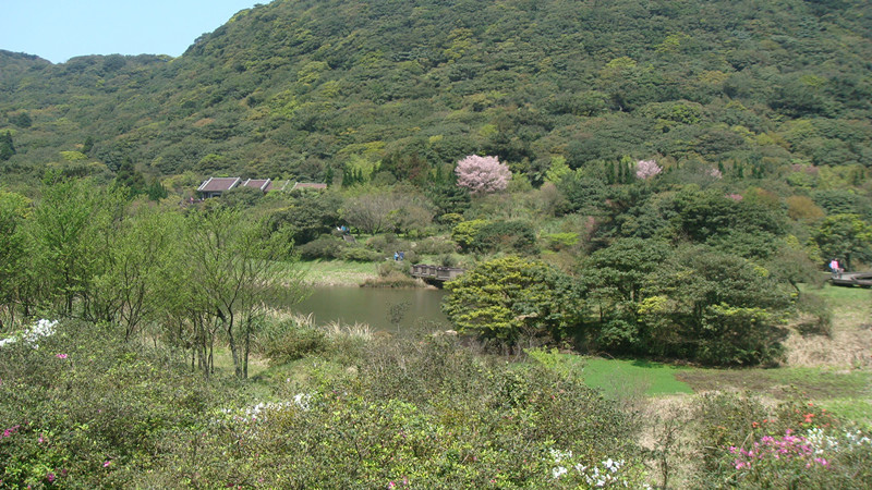 DSC09619_副本.jpg DSC09619_副本.jpg