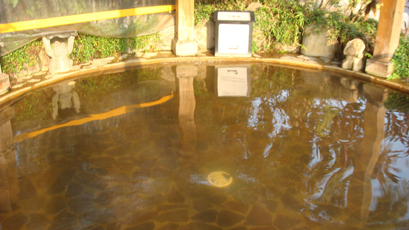 DSC09660_副本人蔘池.jpg DSC09660_副本人蔘池.jpg