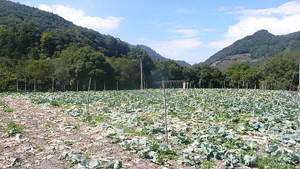 P1240023_副本.jpg