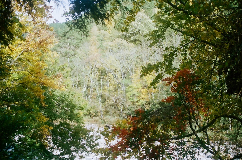 沿溪步道