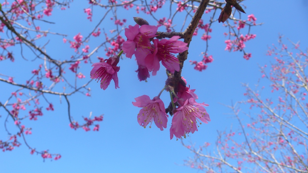 1.石馬公園.JPG 1.石馬公園.JPG