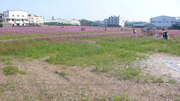 P1280319.JPG