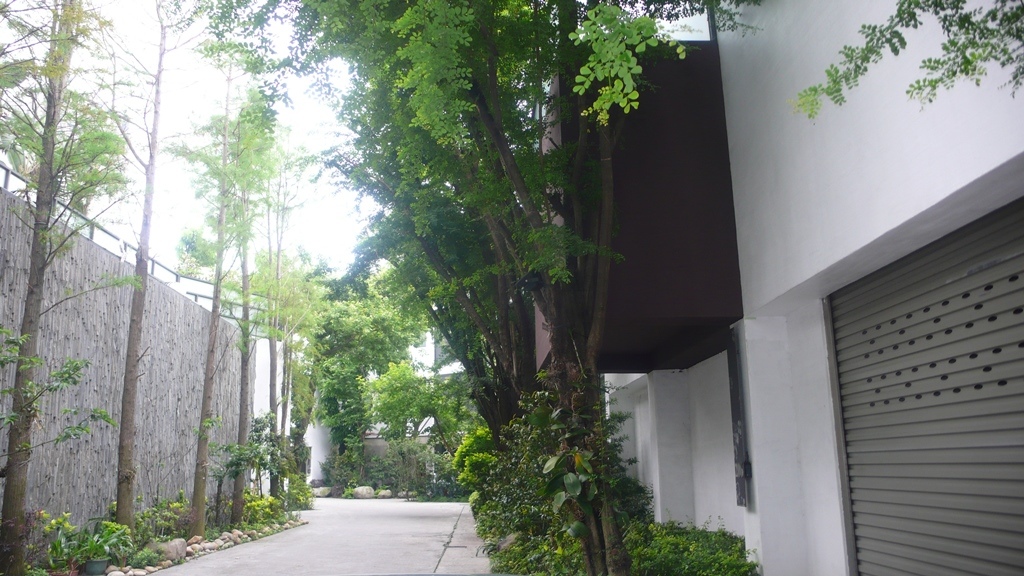 53.JPG 53.JPG