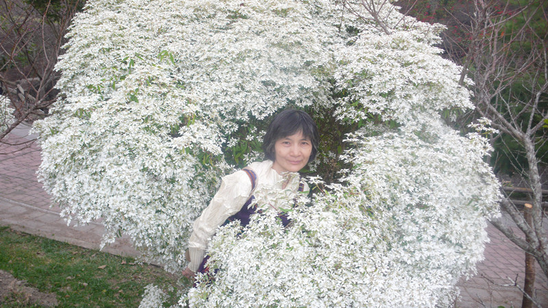 P1340312_副本.jpg P1340312_副本.jpg