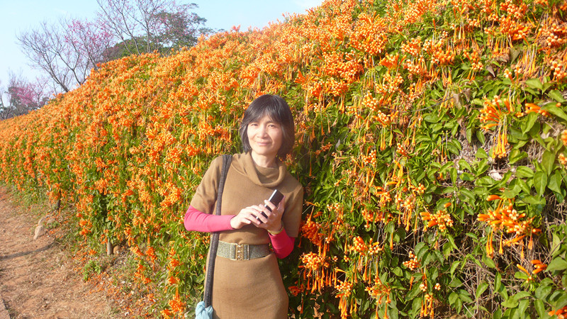 154.jpg 154.jpg