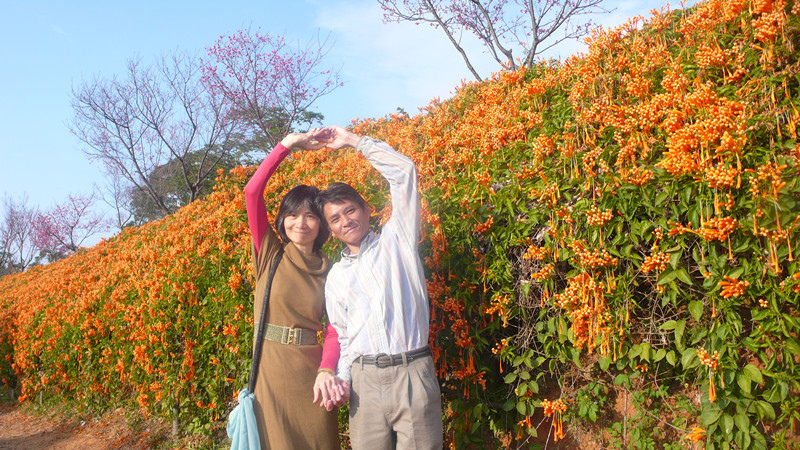 155.jpg 155.jpg