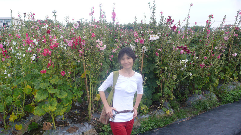 P1360912_副本.jpg P1360912_副本.jpg