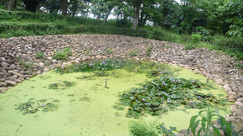 P1370259_副本.jpg P1370259_副本.jpg