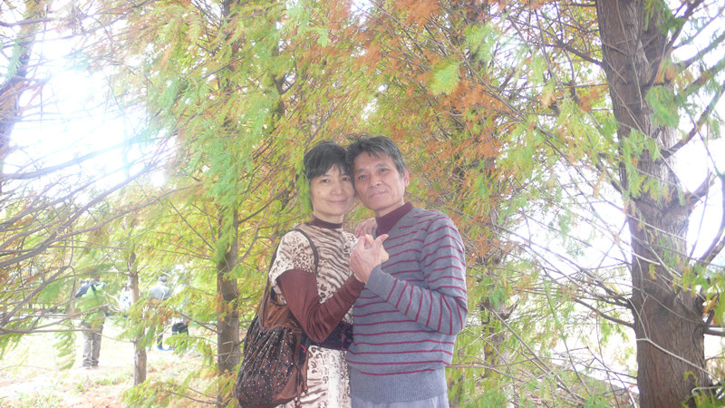 26.jpg 26.jpg