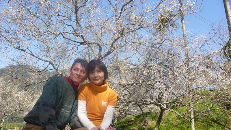 2彭家梅園.jpg 2彭家梅園.jpg