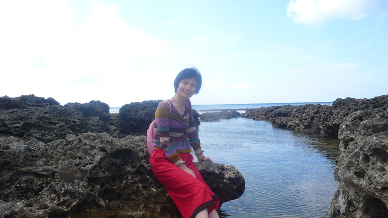 萬里桐 萬里桐
