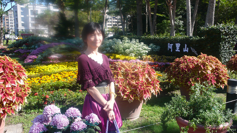 233.jpg 233.jpg
