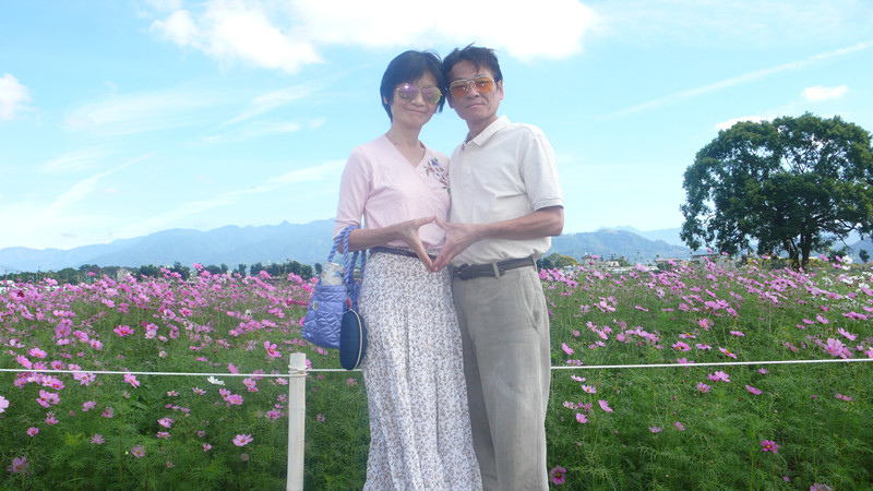 1新社花海.jpg 1新社花海.jpg