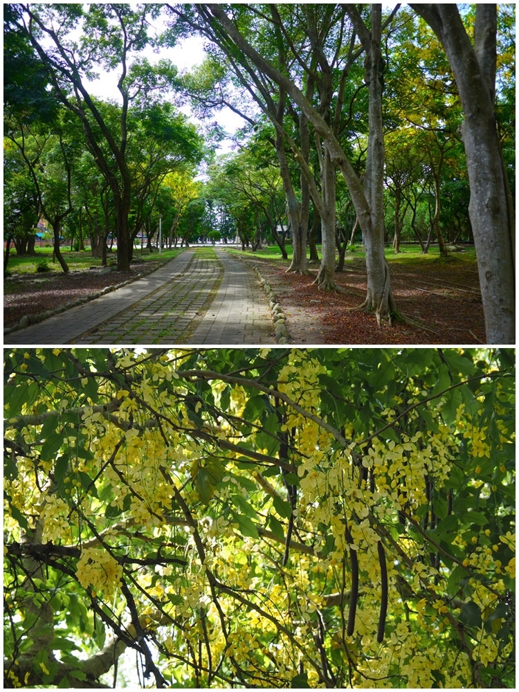 66.jpg 66.jpg