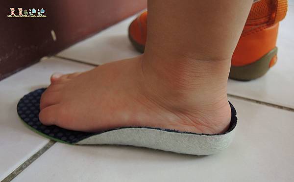 DSCN8612.jpg DSCN8612.jpg