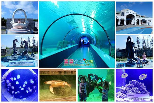 澎湖水族館.jpg