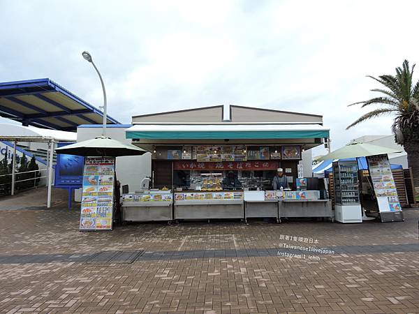 鴨川水族館_201214_1