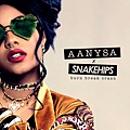 Aanysa-x-Snakehips-Burn-Break-Crash-2016-2480x2480