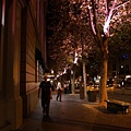 Bourke ST in the night 