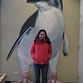 penguin in Philip Island