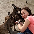 feeding kangaroos.s.s.....
