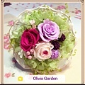 olivia garden 紫.jpg