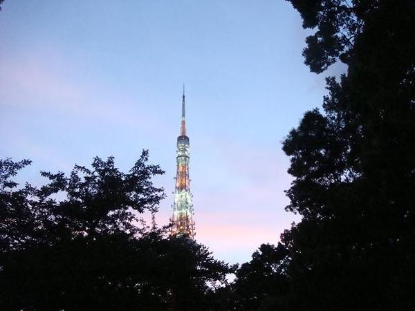 東京鐵塔1