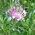 DSC00461.JPG