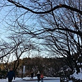 20130211_171933.jpg