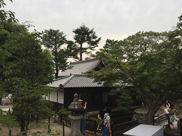 相片 2015-6-13 14 51 45 相片 2015-6-13 14 51 45