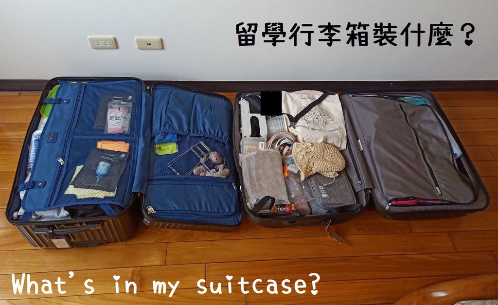 suitcase2.0.jpg