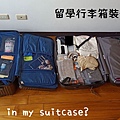 suitcase2.0.jpg